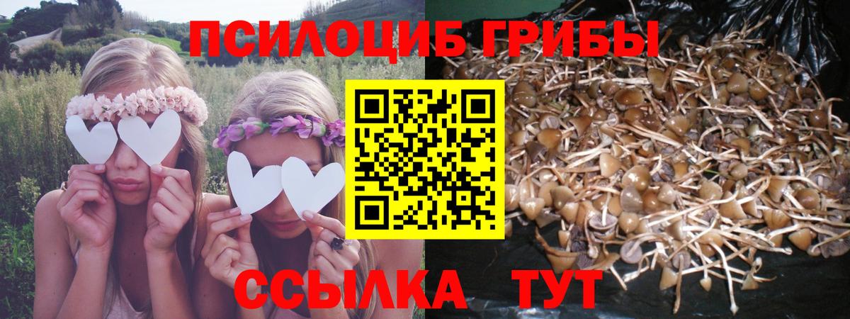 Галлюциногенные грибы Magic Shrooms Джанкой
