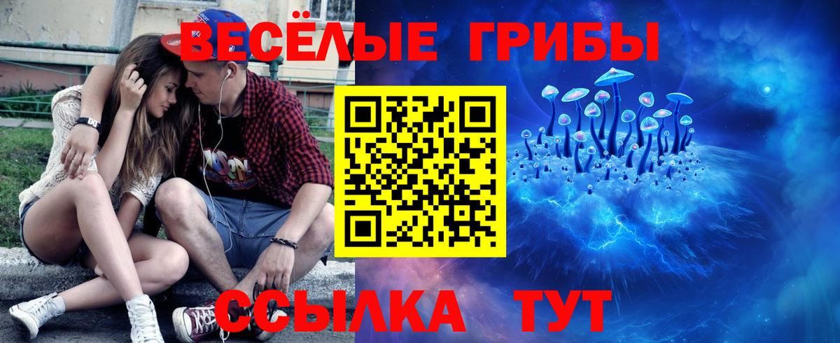 Псилоцибиновые грибы мицелий  Вход с VPN  Джанкой 